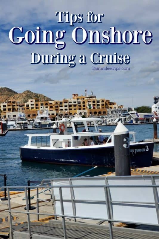 Tips for going on shore during a cruise over a tender boat in a harbor with buildings