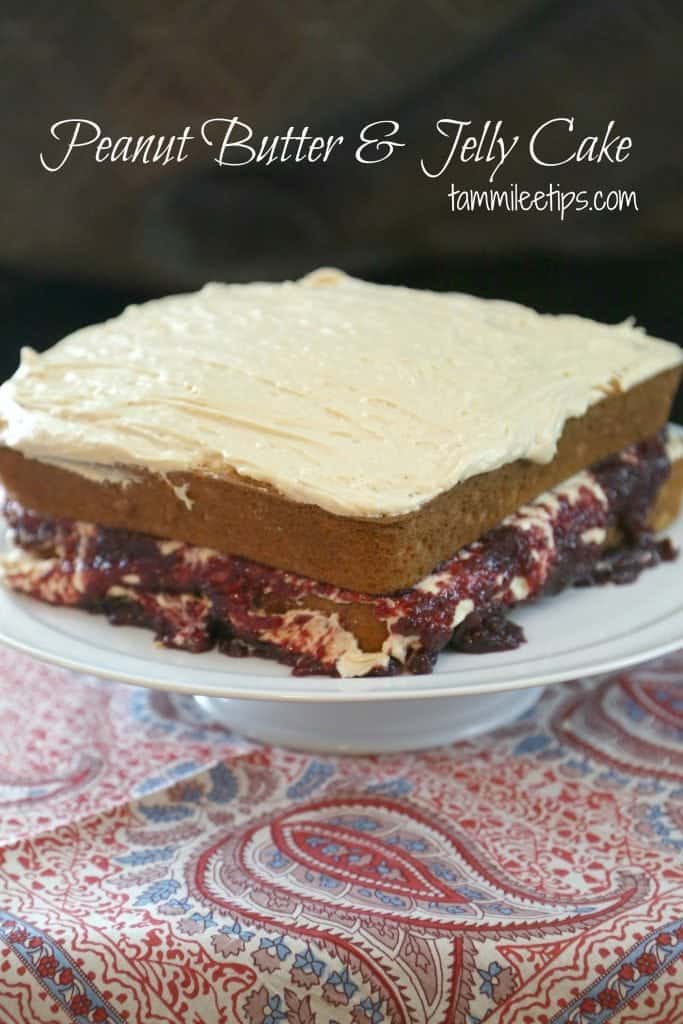 Peanut Butter and Jelly Cake Recipe Tammilee Tips