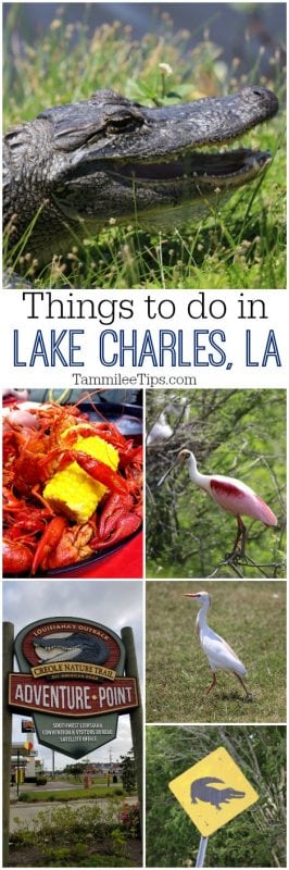 Top Things To Do In Lake Charles La Tammilee Tips