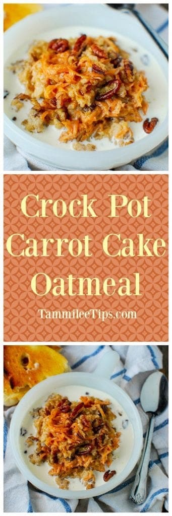 Cat Can Cook Carrot Cake Cat Can Cook Carrot Cake