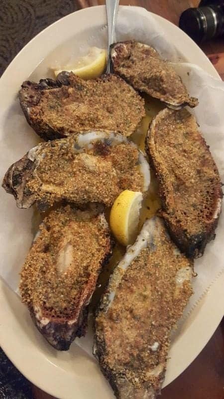 baked oysters on a white plate 