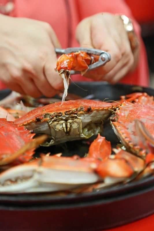 hand cracking a crab leg with a crab below it 