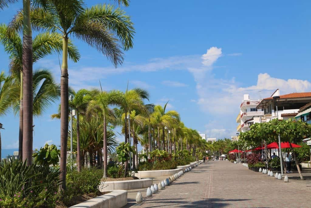 walkway through palm trees and restaurants with red umbrellas on a sunny day