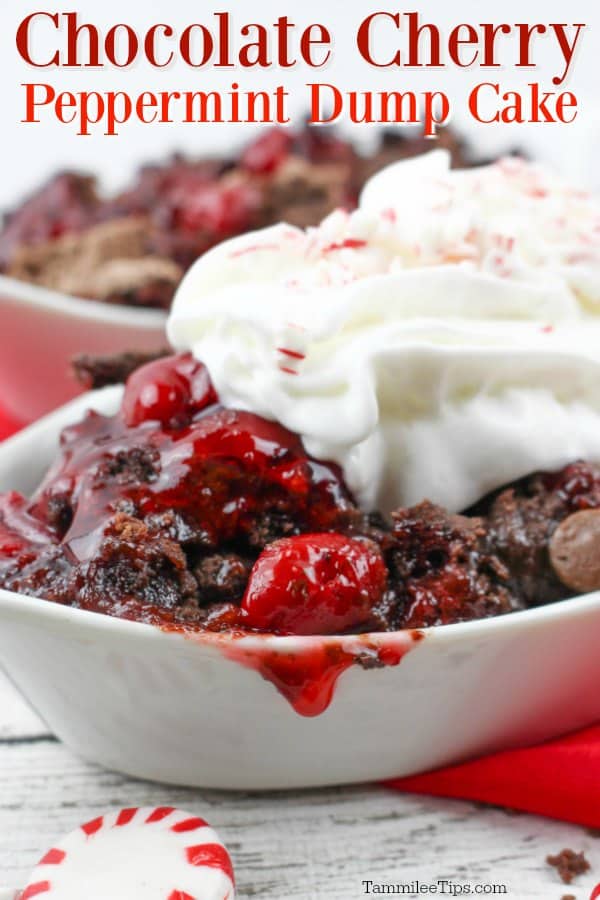 Chocolate cherry peppermint dump cake text over a bowl of chocolate cherry dump cake with whipped cream