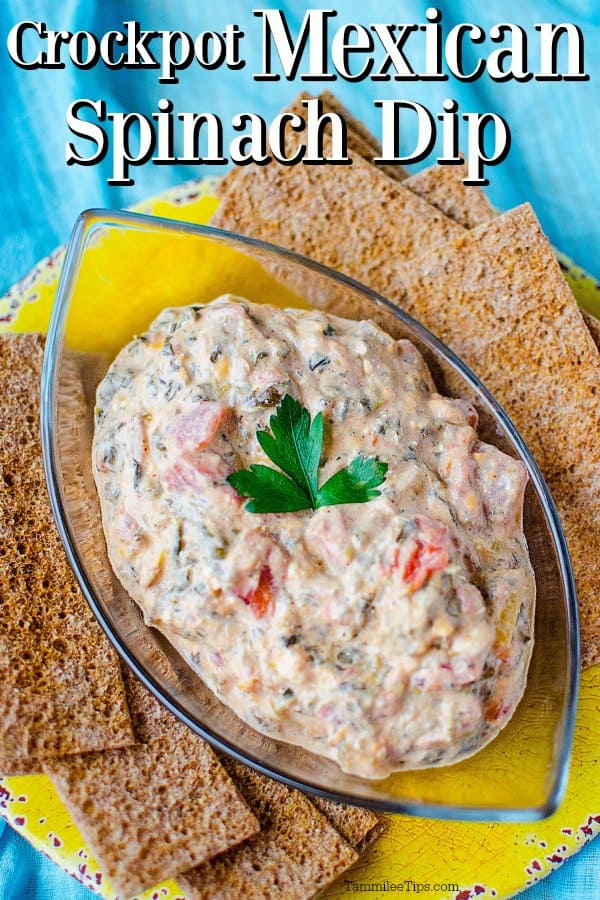 Crockpot Mexican Spinach Dip over an oval bowl with dip and a green garnish next to crackers