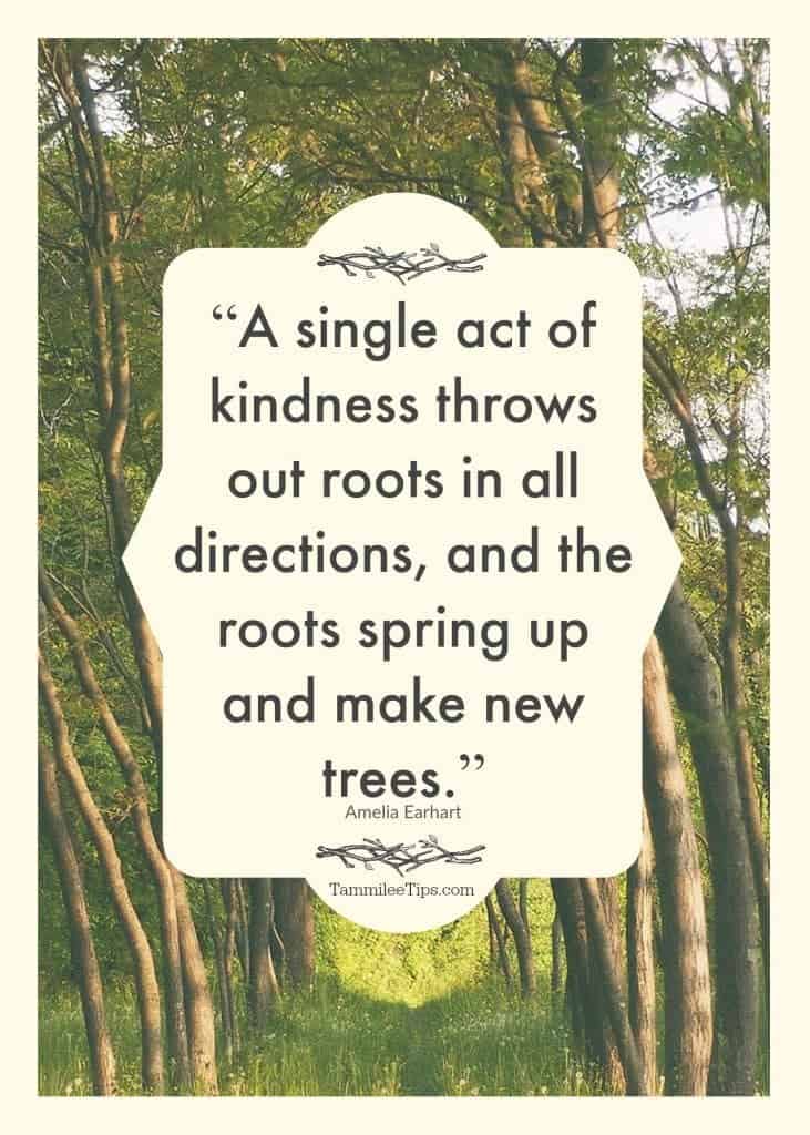 Single act of kindness quote 