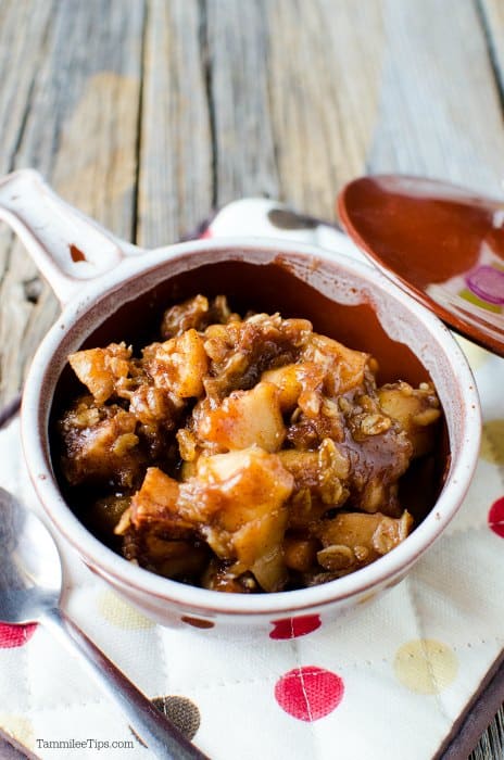 Apple Cinnamon Oatmeal in a bowl on a cloth napkin