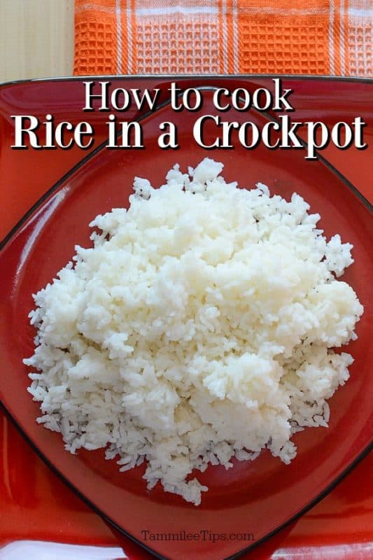How to cook rice in a crockpot above a red plate with fluffy white rice