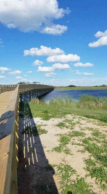 boardwalk leading over the water with blue skies and fluffy clouds