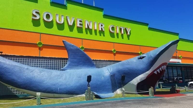 large shark sculpture leading into Souvenir City Gulf Shores
