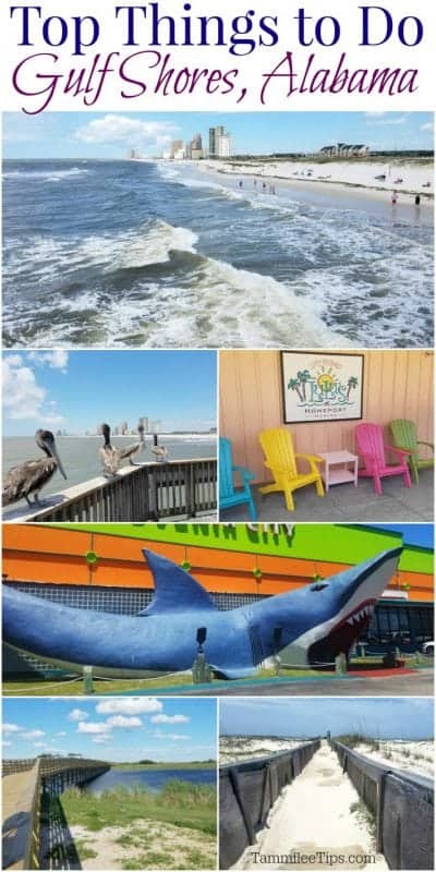 Top Things to do in Gulf Shores Alabama over a collage of photos