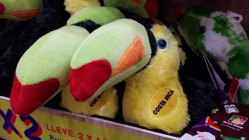 Toucan stuffed animals in a box