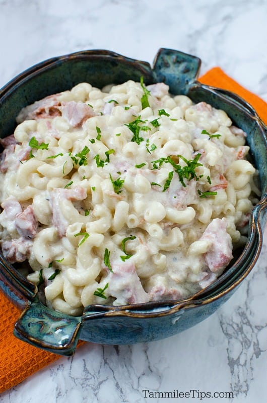 Crock Pot Macaroni and Cheese with Ham Recipe {Video} Tammilee Tips