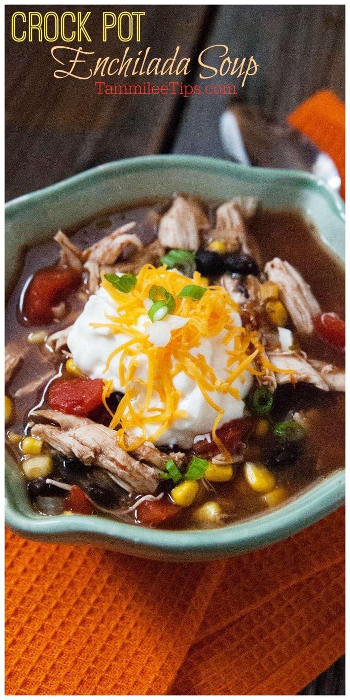Slow Cooker Crock Pot Chicken Enchilada Soup Tammilee Tips
