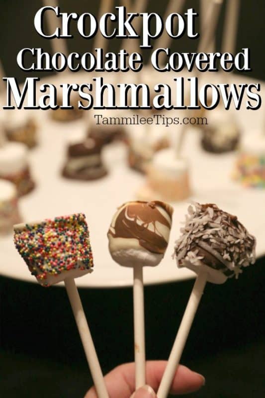 Crockpot Chocolate covered marshmallows over a hand holding three marshmallows covered in chocolate and toppings