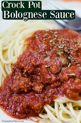 Slow Cooker Crock Pot Bolognese Sauce Recipe - Tammilee Tips