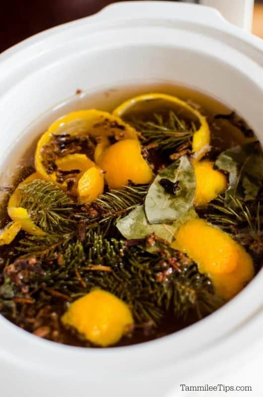 Make your house smell like Christmas with this simmering holiday potpourri in the slow cooker. orange peels, pine needles and water in a white slow cooker