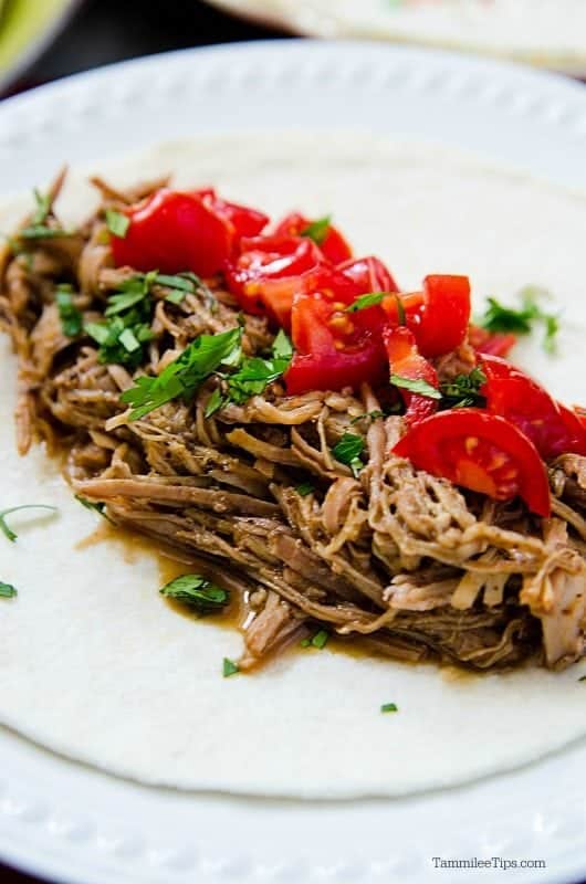 Mexican Pulled Pork, tomatoes, onions, on a tortilla on a white plate. 