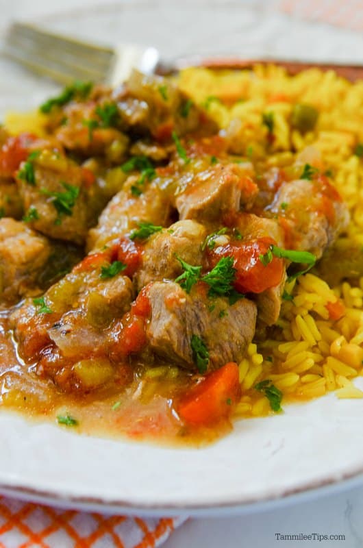 Close up of a white plate with Crockpot Pork Chili Verde and rice near a fork