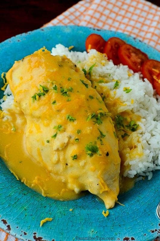 Slow Cooker Crock Pot Cheesy Chicken and Rice Recipe - Tammilee Tips