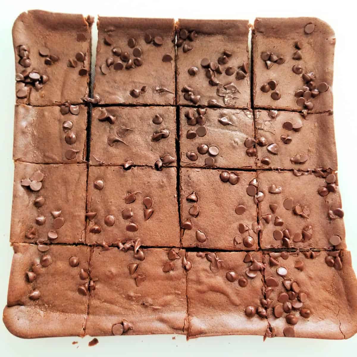 Black Bean Brownies cut into squares