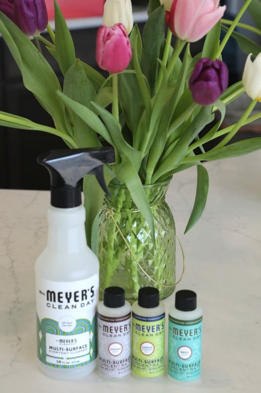 Spring Cleaning with Mrs. Meyer's Concentrate Tammilee Tips