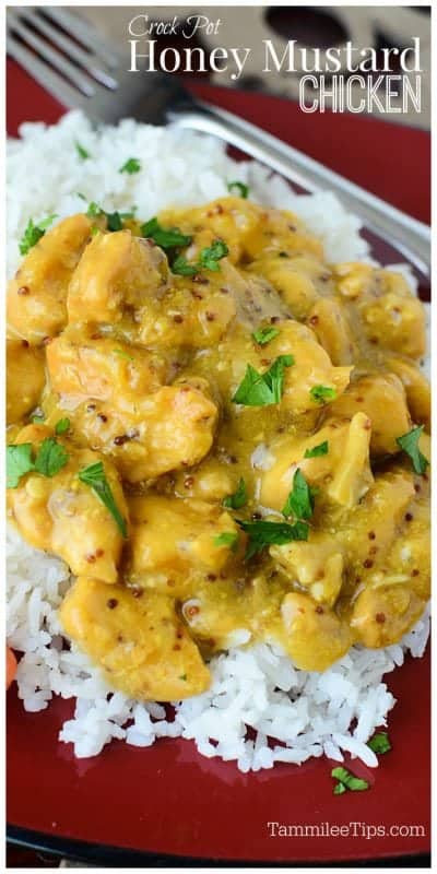 Easy Crockpot Honey Mustard Chicken Recipe! The slow cooker does all the work and you get a fantastic dinner. #crockpot #slowcooker #chicken #Recipe 