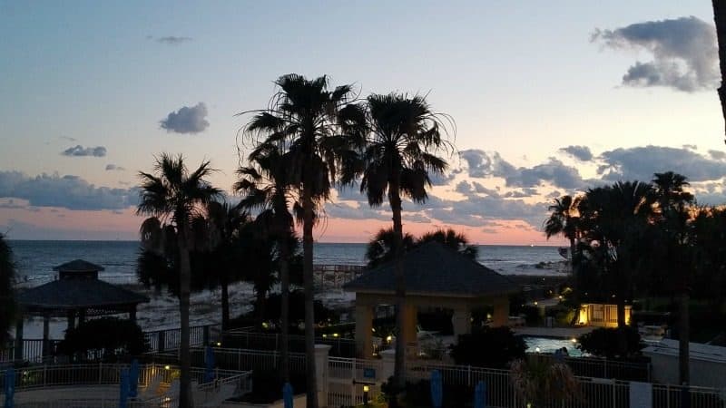 sunset over palm trees and the beach