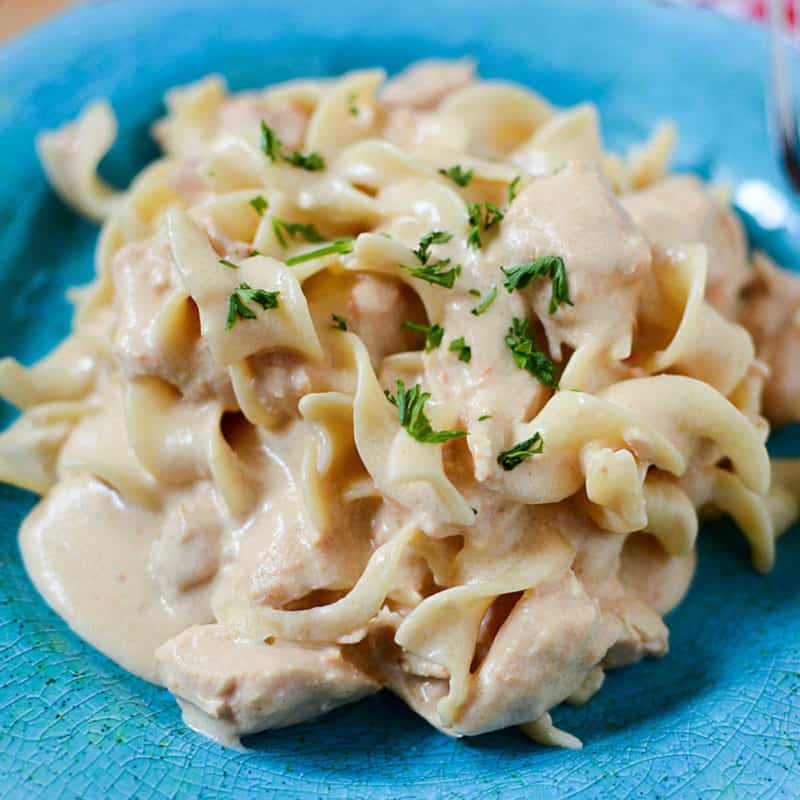 Chicken stroganoff on a blue plate