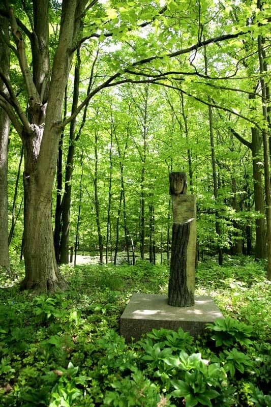 sculpture in the middle of the forest