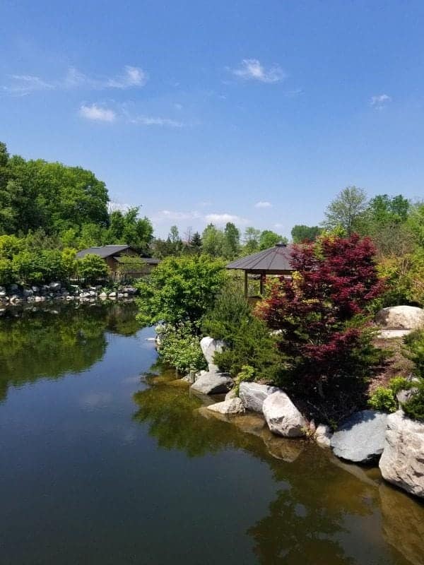 japanese gardens and water on a sunny day