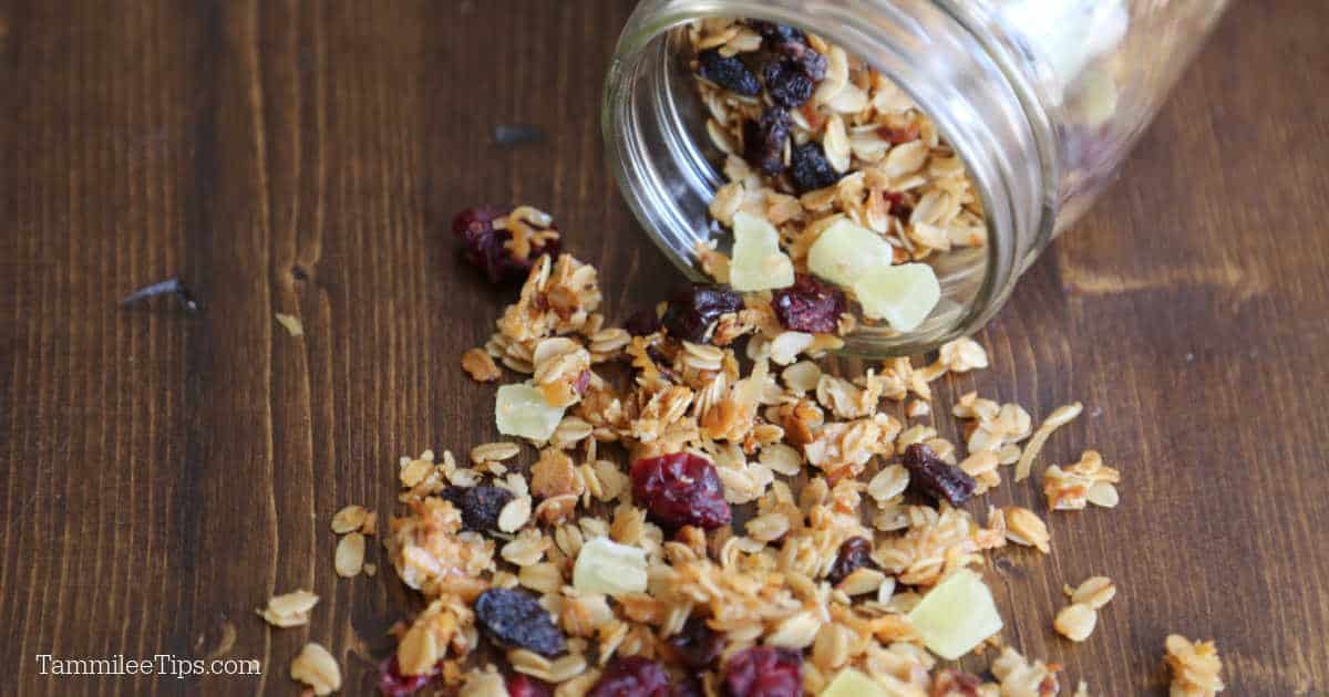 Crockpot Granola with dried fruit recipe and Honey Tammilee Tips