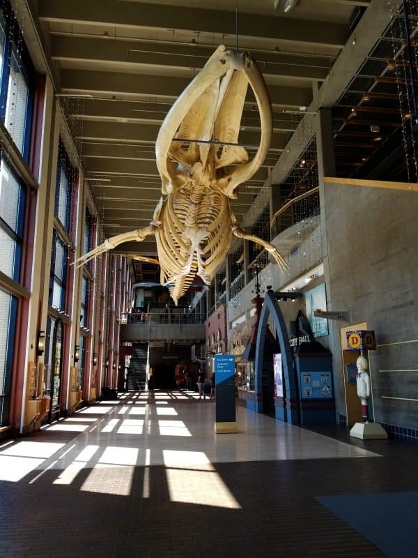 Grand Rapids Public Museum Tammilee Tips grand-rapids-public-museum-tammilee-tips