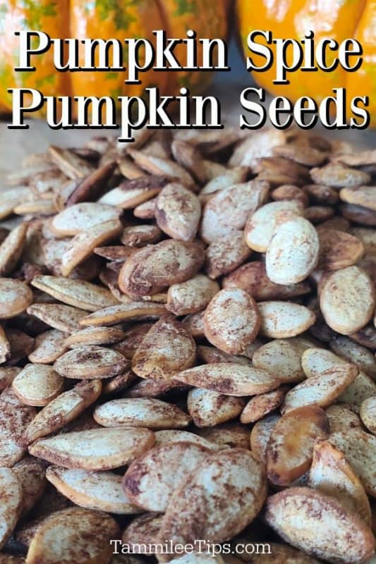 Pumpkin Spice Pumpkin Seeds text over pumpkin seeds with spice on them 