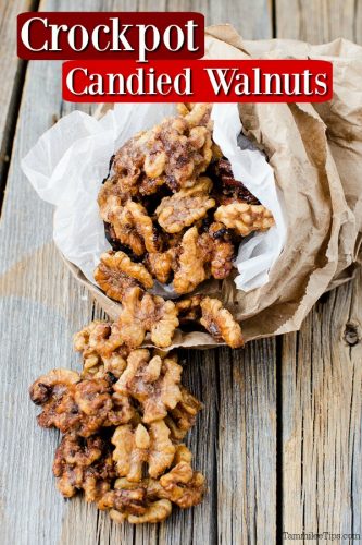 Crockpot Candied Walnuts over a bag filled with walnut candy