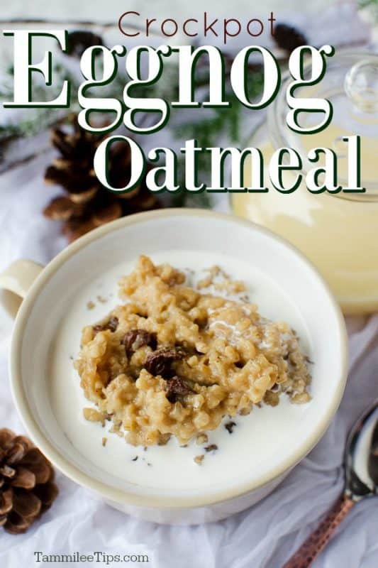 Crock Pot Eggnog Oatmeal over a white bowl next to a container of eggnogs and pine cones