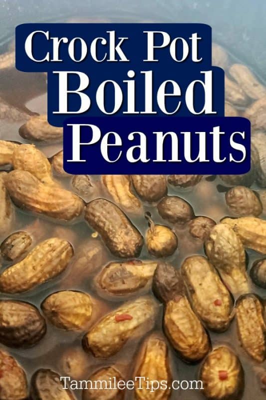 crockpot boiled peanuts over peanuts in the slow cooker