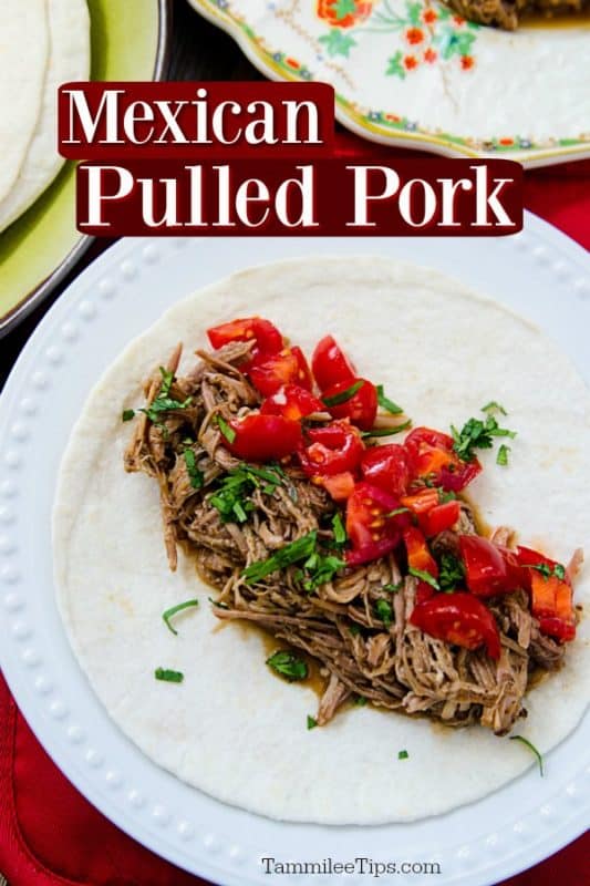 Mexican Pulled Pork over a white plate with Mexican Pulled Pork, tomatoes, onions, on a tortilla on a white plate. 