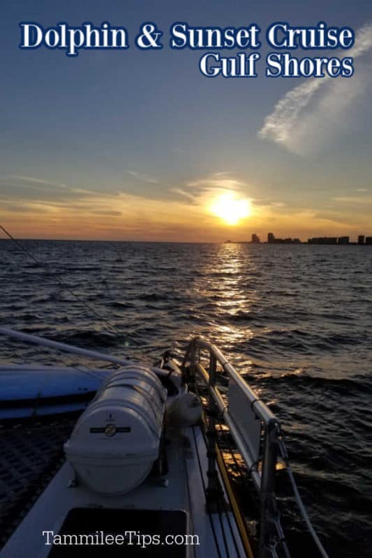 Dolphin and Sunset cruise over the sunset on the gulf of mexico