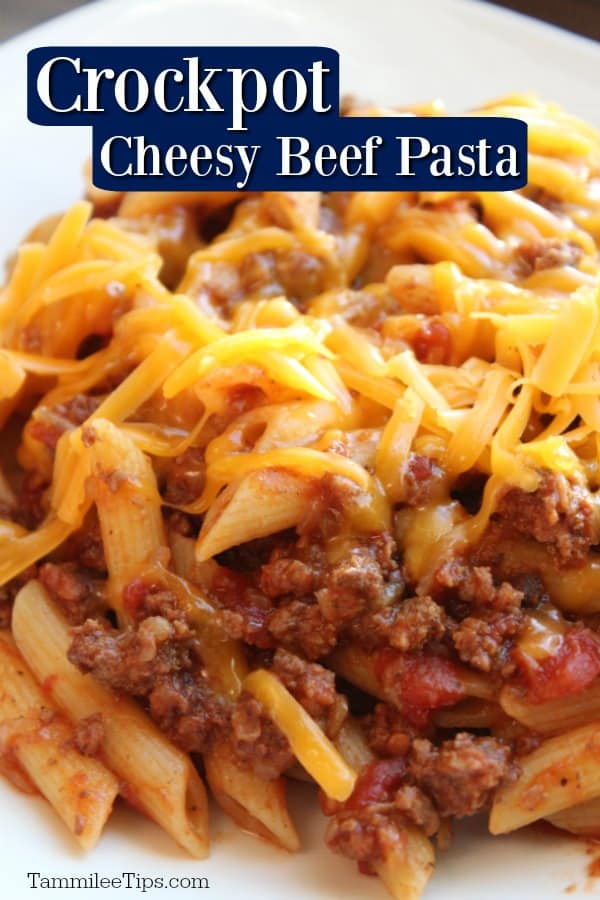 Crock Pot Cheesy Pasta and Beef Casserole