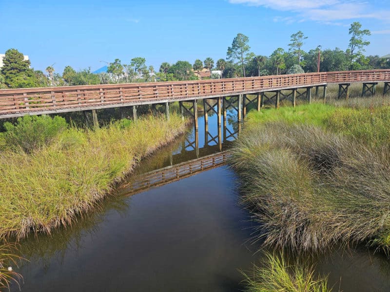 Wooden boardwalk over water and grass