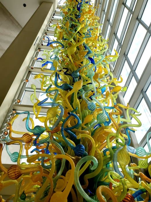 Chihuly glass sculpture with windows surrounding it