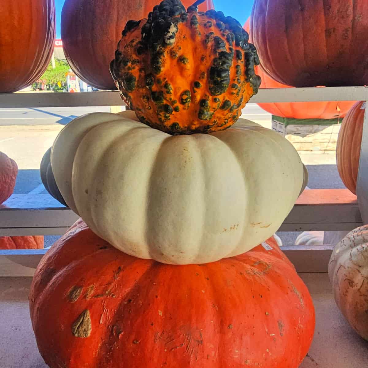 stack of three pumpkins on a wood shelf