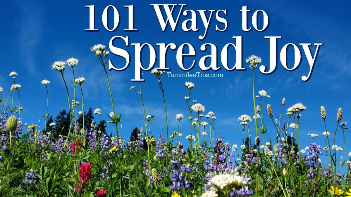 101+ Ways to spread Joy! Tammilee Tips