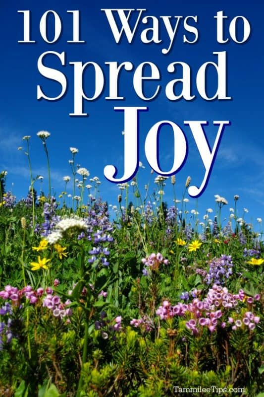 101 ways to spread joy over a field of flowers