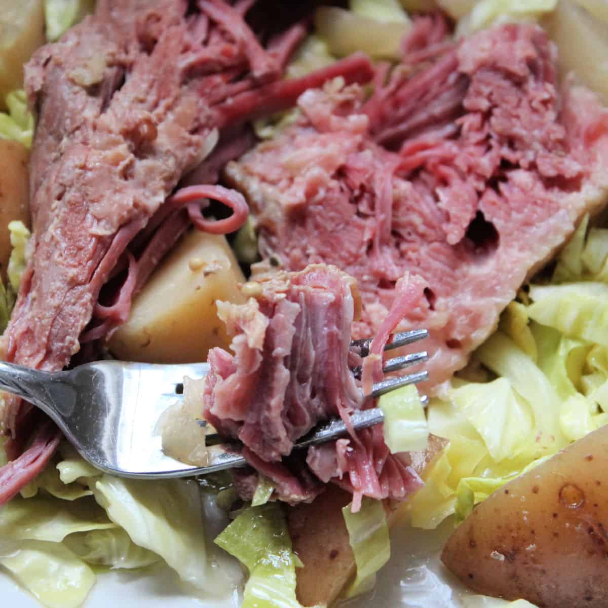 Crock Pot Corned Beef and Cabbage - Tammilee Tips