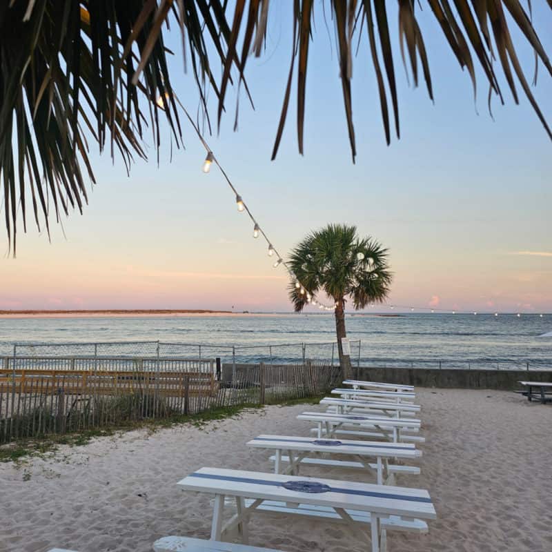 picnic table and a palm tree with sunset views over the Gulf of Mexico