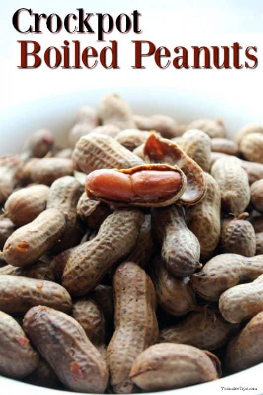 Crockpot boiled peanuts over a pile of peanuts in a white bowl