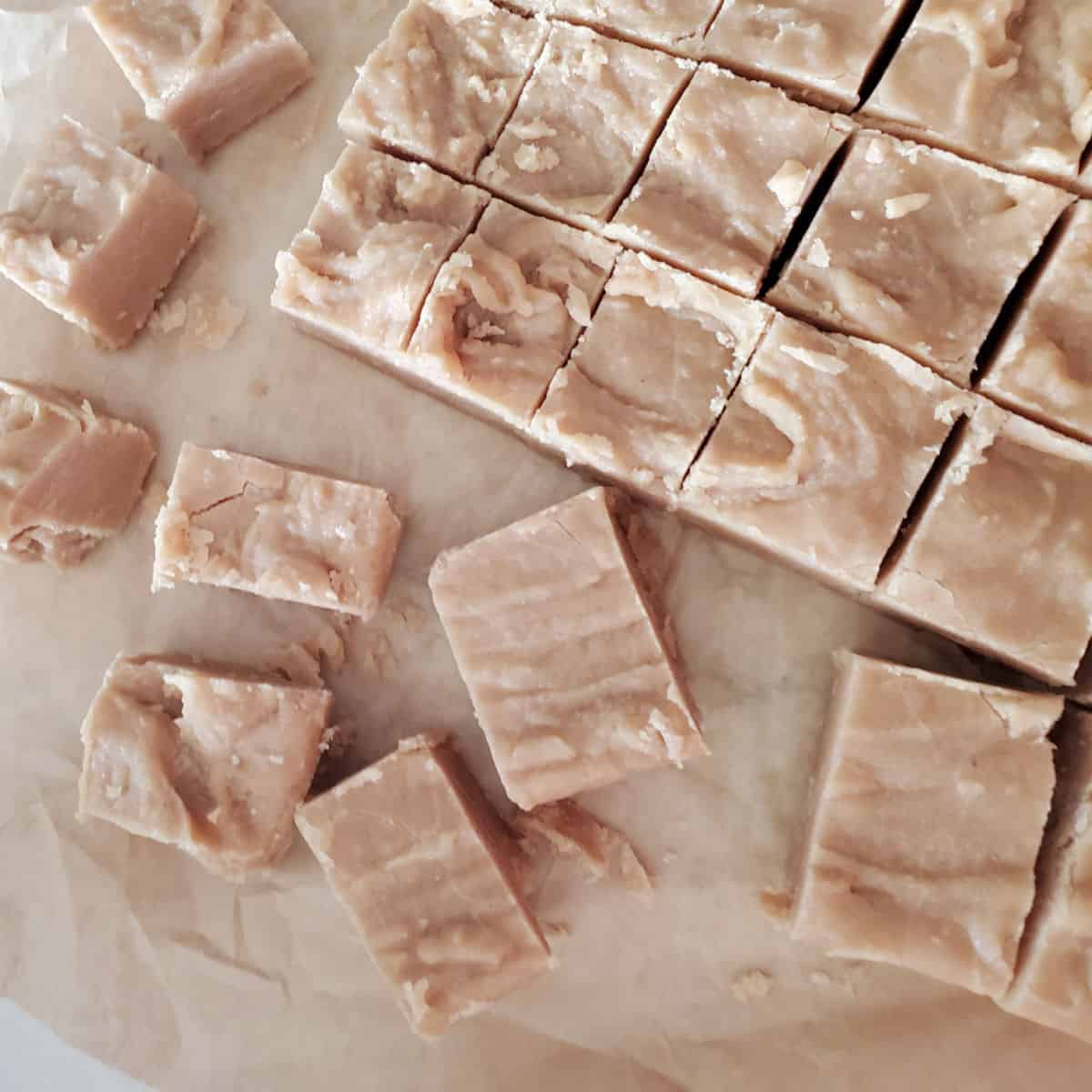 Easy 2 Ingredient Peanut Butter Fudge (with video)