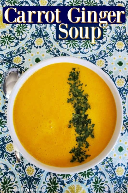 Carrot ginger soup over an orange soup with green garnish in a white bowl on a colorful cloth